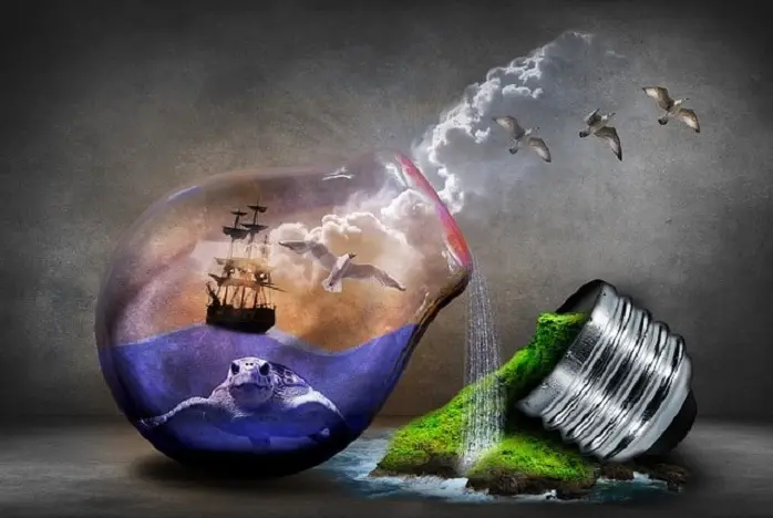 environment nayem hasan munna