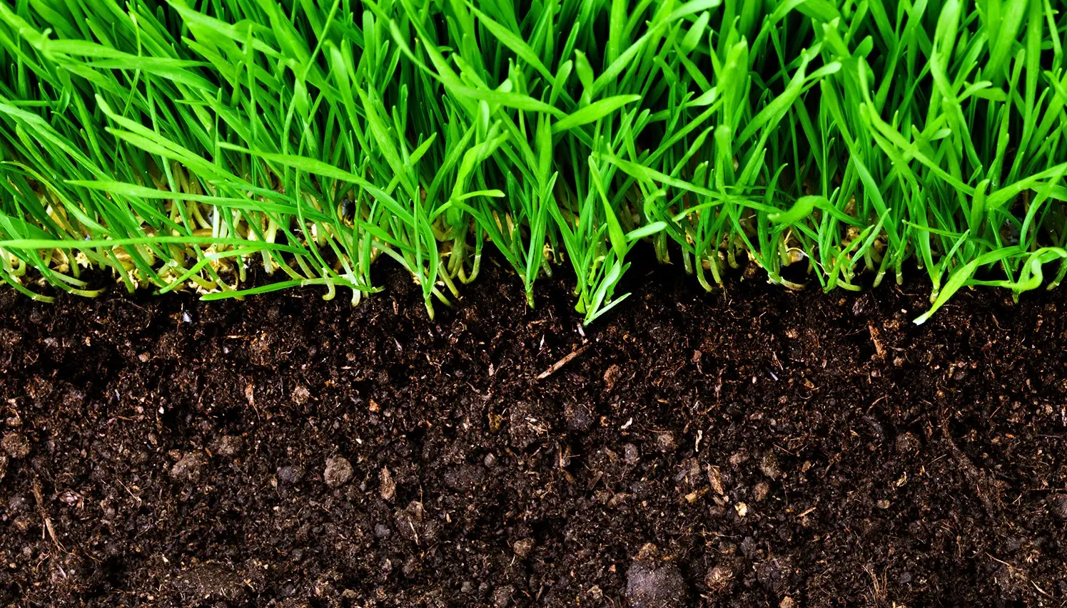 what is soil